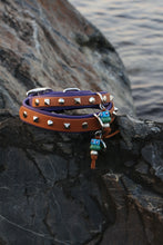 Görseli Galeri görüntüleyiciye yükleyin, Trooper Köpek Tasması