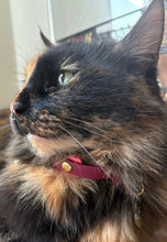 Görseli Galeri görüntüleyiciye yükleyin, Marley