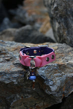 Görseli Galeri görüntüleyiciye yükleyin, Chase Köpek Tasması