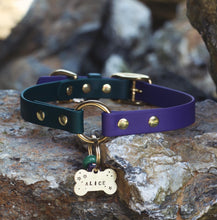 Görseli Galeri görüntüleyiciye yükleyin, Yankee Köpek Tasması