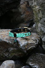 Load image into Gallery viewer, Ranger Large Dog Collar