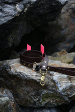 Load image into Gallery viewer, Hunter Dog Leash