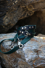 Görseli Galeri görüntüleyiciye yükleyin, Aria Euro Dog Leash