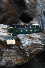 Görseli Galeri görüntüleyiciye yükleyin, Trooper Köpek Tasması