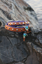 Görseli Galeri görüntüleyiciye yükleyin, Trooper Küçük Köpek Tasması