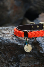 Load image into Gallery viewer, Ranger Large Dog Collar