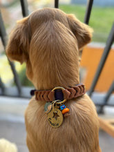 Load image into Gallery viewer, Ranger Large Dog Collar