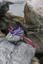 Load image into Gallery viewer, Hunter Dog Leash