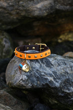 Görseli Galeri görüntüleyiciye yükleyin, Trooper Köpek Tasması