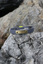 Görseli Galeri görüntüleyiciye yükleyin, Hunter Küçük Köpek Tasması