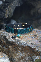 Load image into Gallery viewer, Ranger Large Dog Collar