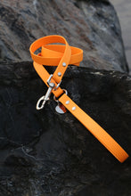 Görseli Galeri görüntüleyiciye yükleyin, Kody Gezdirme Kayışı