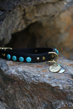 Görseli Galeri görüntüleyiciye yükleyin, Odin Köpek Tasması