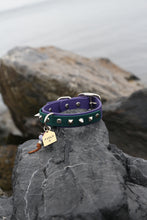 Görseli Galeri görüntüleyiciye yükleyin, Trooper Küçük Köpek Tasması