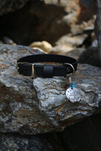 Görseli Galeri görüntüleyiciye yükleyin, Hunter Küçük Köpek Tasması