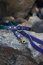 Görseli Galeri görüntüleyiciye yükleyin, Yankee Gezdirme Kayışı