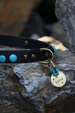 Görseli Galeri görüntüleyiciye yükleyin, Odin Köpek Tasması