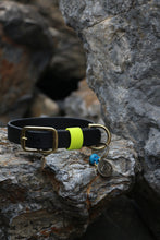 Görseli Galeri görüntüleyiciye yükleyin, Hunter Büyük Köpek Tasması