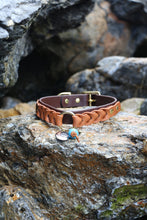 Load image into Gallery viewer, Ranger Large Dog Collar