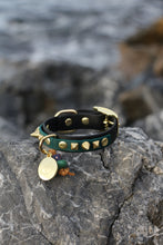 Görseli Galeri görüntüleyiciye yükleyin, Trooper Küçük Köpek Tasması