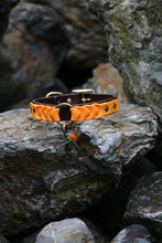 Load image into Gallery viewer, Ranger Large Dog Collar