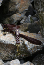 Görseli Galeri görüntüleyiciye yükleyin, Chase Gezdirme Kayışı