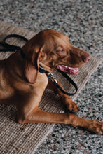 Görseli Galeri görüntüleyiciye yükleyin, Bono Gezdirme Kayışı