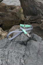 Görseli Galeri görüntüleyiciye yükleyin, Yankee Gezdirme Kayışı