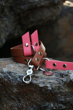 Load image into Gallery viewer, Hunter Dog Leash