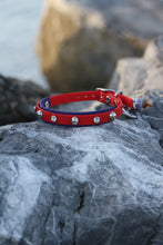 Görseli Galeri görüntüleyiciye yükleyin, Karma Köpek Tasması