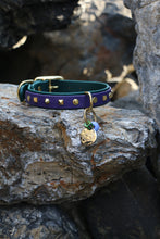 Görseli Galeri görüntüleyiciye yükleyin, Trooper Köpek Tasması