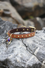 Görseli Galeri görüntüleyiciye yükleyin, Trooper Köpek Tasması