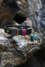 Görseli Galeri görüntüleyiciye yükleyin, Hunter Büyük Köpek Tasması