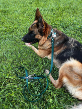 Görseli Galeri görüntüleyiciye yükleyin, Aria Euro Dog Leash