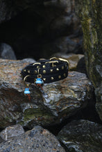 Görseli Galeri görüntüleyiciye yükleyin, Trooper Köpek Tasması