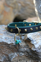 Görseli Galeri görüntüleyiciye yükleyin, Trooper Köpek Tasması