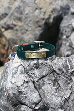 Görseli Galeri görüntüleyiciye yükleyin, Hunter Küçük Köpek Tasması