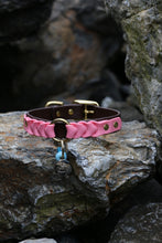 Load image into Gallery viewer, Ranger Large Dog Collar