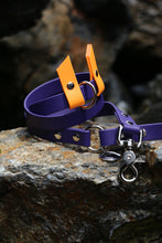 Load image into Gallery viewer, Hunter Dog Leash