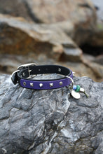 Görseli Galeri görüntüleyiciye yükleyin, Trooper Köpek Tasması