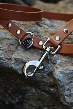 Load image into Gallery viewer, Kody Dog Leash