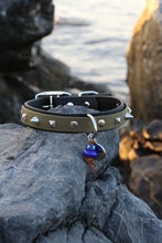 Görseli Galeri görüntüleyiciye yükleyin, Trooper Köpek Tasması