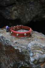 Görseli Galeri görüntüleyiciye yükleyin, Karma Köpek Tasması