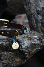 Görseli Galeri görüntüleyiciye yükleyin, Odin Köpek Tasması