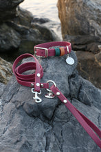 Görseli Galeri görüntüleyiciye yükleyin, Kody Küçük Irk Gezdirme Kayışı