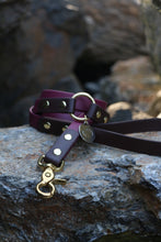 Görseli Galeri görüntüleyiciye yükleyin, Yankee Gezdirme Kayışı