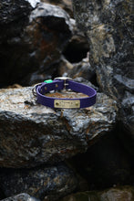 Görseli Galeri görüntüleyiciye yükleyin, Hunter Büyük Köpek Tasması