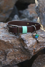 Görseli Galeri görüntüleyiciye yükleyin, Hunter Büyük Köpek Tasması