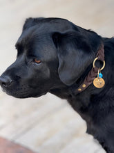 Load image into Gallery viewer, Ranger Large Dog Collar