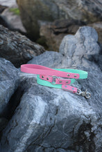 Görseli Galeri görüntüleyiciye yükleyin, Yankee Gezdirme Kayışı